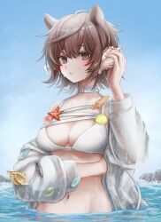 Rule 34 | 1girl, 3 (sanyako1), absurdres, animal ears, arknights, bikini, blue sky, blush, breasts, brown eyes, brown hair, choker, cleavage, day, extra ears, highres, jacket, large breasts, long sleeves, looking at viewer, navel, o-ring, o-ring choker, official alternate costume, open clothes, open jacket, outdoors, parted lips, roberta (arknights), roberta (summer flowers) (arknights), seashell, see-through, shell, shell to ear, short hair, sky, smile, solo, starfish, swimsuit, third-party edit, water, wet, wet clothes, white bikini, white choker, white jacket