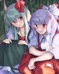 Rule 34 | 2girls, :d, bad id, bad pixiv id, bamboo, bamboo forest, bow, cheunes, commentary request, dress, ex-keine, feet out of frame, forest, fujiwara no mokou, green dress, green hair, hair between eyes, hair bow, half updo, head tilt, highres, horn bow, horn ornament, horns, kamishirasawa keine, long hair, looking at another, multiple girls, nature, neckerchief, open mouth, outdoors, pants, petticoat, pinafore dress, puffy short sleeves, puffy sleeves, red bow, red eyes, red neckerchief, red pants, shirt, short sleeves, sidelocks, silver hair, sitting, sleeveless dress, smile, suspenders, touhou, white bow, white shirt