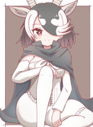 Rule 34 | 1girl, antelope ears, antelope horns, bare shoulders, black cape, black hair, blackbuck (kemono friends), blush, bow, bowtie, cape, commentary, detached sleeves, extra ears, hair over one eye, highres, kemono friends, looking at viewer, multicolored hair, pantyhose, puffy shorts, red eyes, shirt, short hair, shorts, sitting, smile, solo, sunanuko (ramuneko), two-tone hair, white bow, white bowtie, white hair, white pantyhose, white shirt, white shorts, white sleeves