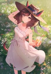 Rule 34 | 1girl, animal ears, arm up, bare shoulders, blush, breasts, brown eyes, brown hair, brown hat, closed mouth, commentary, cup, day, dress, drinking glass, drinking straw, ear covers, flower, grass, hand on headwear, hand up, hat, hat flower, highres, holding, holding clothes, holding cup, horse ears, horse girl, horse tail, leaf, long hair, looking at viewer, medium breasts, nice nature (umamusume), outdoors, sleeveless, sleeveless dress, smile, solo, spaghetti strap, standing, straw hat, sun hat, sundress, tail, tsunakawa, twintails, twitter username, umamusume, white dress, white flower, wind