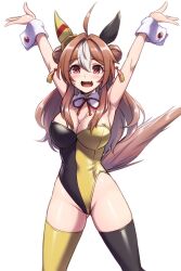 Rule 34 | ahoge, animal ears, armpits, arms up, asymmetrical legwear, black leotard, black thighhighs, blush, breasts, brown hair, cleavage, commentary request, copano rickey (umamusume), cowboy shot, detached collar, double bun, ear covers, ear ornament, fang, hair between eyes, hair bun, hair ornament, highleg, highleg leotard, highres, horse ears, horse girl, horse tail, large breasts, leotard, long hair, looking at viewer, mismatched legwear, multicolored hair, nontraditional playboy bunny, open mouth, pataneet, pink eyes, simple background, skin fang, smile, strapless, strapless leotard, streaked hair, tail, tassel, tassel hair ornament, thighhighs, two-tone leotard, umamusume, white background, white hair, wrist cuffs, yellow leotard, yellow thighhighs