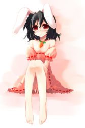 Rule 34 | 1girl, animal ears, barefoot, black hair, blush, carrot, feet, female focus, food-themed clothes, full body, gradient background, inaba tewi, rabbit ears, red eyes, shin (new), short hair, sitting, solo, touhou, white background