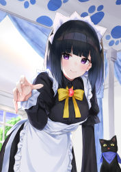 Rule 34 | 1girl, absurdres, animal, apron, backlighting, bed, black cat, black dress, black hair, blush, bow, breasts, canopy bed, cat, closed mouth, collared dress, commentary request, curtains, dress, frilled apron, frills, hashiko nowoto, highres, indoors, layered sleeves, long hair, long sleeves, looking at viewer, maid, original, puffy short sleeves, puffy sleeves, purple eyes, short over long sleeves, short sleeves, small breasts, smile, solo, waist apron, white apron, window, yellow bow