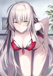 Rule 34 | 1girl, ahoge, bare shoulders, blush, bra, breasts, cleavage, closed mouth, collarbone, commentary request, fate/grand order, fate (series), hair between eyes, hanging breasts, has bad revision, has downscaled revision, highres, hip focus, jeanne d&#039;arc (fate), jeanne d&#039;arc alter (avenger) (fate), jeanne d&#039;arc alter (fate), large breasts, leaning forward, long hair, looking at viewer, md5 mismatch, pale skin, panties, red bra, red panties, resolution mismatch, rin yuu, silver hair, solo, source smaller, thighs, underwear, very long hair, yellow eyes