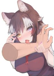 Rule 34 | 1girl, absurdres, akuma (st.takuma), animal ear fluff, animal ears, bite mark, blue eyes, brown hair, disembodied hand, fingernails, grey hair, grey wolf (kemono friends), hands up, heterochromia, highres, kemono friends, licking, long hair, multicolored hair, nail polish, neck ribbon, purple nails, ribbon, saliva, simple background, solo focus, sweater vest, tearing up, tongue, tongue out, two-tone hair, upper body, white background, wolf ears, yellow eyes