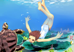 Rule 34 | 1girl, bad id, bad pixiv id, barefoot, brown eyes, brown hair, bubble, competition swimsuit, coral, enokoro kusa, feet, female focus, fish, freediving, highres, one-piece swimsuit, open mouth, original, short hair, smile, solo, swimming, swimsuit, turtle, underwater, upside-down