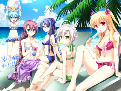 Rule 34 | 5girls, :d, age difference, ahoge, alisa reinford, alternate costume, antenna hair, arms up, ass, ball, beach, beach chair, bikini, blonde hair, blue eyes, blue hair, blush, bow, braid, breasts, butt crack, cleavage, cocktail, day, drinking straw, eating, eiyuu densetsu, emma millstein, falcom, female focus, fie claussell, flower, food, frilled bikini, frills, glasses, green eyes, hair bow, hair flower, hair ornament, height difference, hibiscus, holding, holding ball, holding food, large breasts, laura s. arseid, long hair, looking at viewer, medium breasts, midriff, millium orion, morisaki kurumi, multiple girls, navel, ocean, open mouth, outdoors, palm tree, ponytail, popsicle, purple hair, red eyes, sarong, sen no kiseki, short hair, silver hair, single braid, sitting, sky, small breasts, smile, standing, sunlight, swimsuit, tree, two side up, yellow eyes