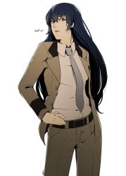 Rule 34 | 1girl, aged up, atlus, belt, blue eyes, blue hair, breasts, formal, hand on own hip, hanpetos, hip focus, long hair, looking at viewer, matching hair/eyes, necktie, pants, persona, persona 4, persona x detective, serious, shirogane naoto, small breasts, solo, standing, suit, text focus
