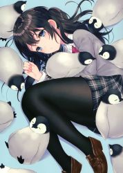 Rule 34 | 1girl, :o, absurdres, achiki, animal, bird, black hair, black pantyhose, black skirt, blue background, blue eyes, bow, bowtie, brown footwear, collared shirt, fetal position, grey sweater, highres, loafers, long hair, long sleeves, looking at viewer, lying, miniskirt, on side, original, pantyhose, parted lips, penguin, plaid, plaid skirt, pleated skirt, red bow, red bowtie, scan, school uniform, shirt, shoes, sidelocks, skirt, solo, sweater, two side up, white shirt