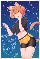 Rule 34 | 1girl, absurdres, animal ears, artist name, artist request, bare legs, black pants, black shirt, blush, breasts, cat ears, cat tail, female focus, green eyes, hair between eyes, highres, hoshizora rin, looking at viewer, love live!, love live! school idol project, melon yogurt, night, night sky, orange hair, outdoors, pants, parted lips, shirt, short hair, sky, small breasts, smile, solo, star (sky), tail, yellow eyes