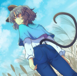 Rule 34 | 1girl, animal ears, blue capelet, blue pants, blue sky, brown eyes, capelet, closed mouth, cloud, commentary request, denim, grey hair, jeans, long sleeves, looking at viewer, mouse ears, mouse girl, mouse tail, nayozane (worker7), nazrin, outdoors, pants, shirt, short hair, sky, smile, solo, tail, touhou, white shirt
