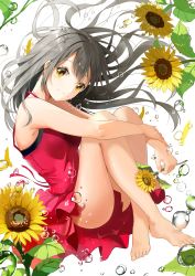 Rule 34 | 1girl, air bubble, bare arms, bare legs, bare shoulders, barefoot, black hair, blush, bubble, closed mouth, commentary request, crossed ankles, dress, flower, from side, hand on own arm, highres, knees up, leaf, long hair, looking at viewer, looking to the side, original, pink dress, shi-ro, simple background, sleeveless, sleeveless dress, smile, solo, sunflower, underwater, very long hair, white background, yellow eyes, yellow flower