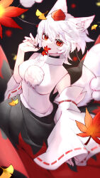 Rule 34 | 1girl, animal ear fluff, animal ears, bare shoulders, black skirt, commentary request, covering own mouth, detached sleeves, falling leaves, feet out of frame, hat, highres, inubashiri momiji, kmnr ne, leaf, looking at viewer, maple leaf, pom pom (clothes), red eyes, red hat, red skirt, shirt, short hair, skirt, sleeveless, sleeveless shirt, solo, tail, tokin hat, touhou, two-tone skirt, white shirt, white sleeves, wolf ears, wolf girl, wolf tail
