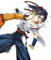 Rule 34 | blood, punching, ryou sakazaki, snk, the king of fighters, todoh kasumi