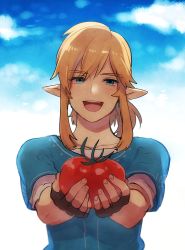 Rule 34 | 1boy, apple, blonde hair, blue eyes, blue shirt, collarbone, commentary request, day, earrings, fingerless gloves, food, fruit, gloves, holding, holding food, holding fruit, jewelry, link, looking at viewer, male focus, nintendo, open mouth, outdoors, pointy ears, red apple, shirt, short sleeves, sky, smile, solo, teeth, the legend of zelda, the legend of zelda: breath of the wild, upper body, upper teeth only, white shirt, yuma (zero)