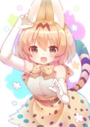 Rule 34 | 10s, 1girl, :d, animal ears, arare mochiko, arm up, bad id, bad pixiv id, bare shoulders, blonde hair, blush, bow, bowtie, brown eyes, cat ears, cat tail, elbow gloves, fang, gloves, high-waist skirt, kemono friends, looking at viewer, open mouth, print bow, print gloves, print skirt, serval (kemono friends), serval print, serval tail, short hair, skirt, sleeveless, smile, solo, tail, white gloves