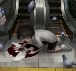Rule 34 | 1boy, absurdres, all fours, bird, black hair, black shorts, blood, blood on face, blood on hands, crazy eyes, dead animal, dove, eating, escalator, feathers, frown, grey eyes, guro, highres, holding, looking at viewer, looking to the side, open mouth, original, pigeon, pool of blood, shirt, shoes, short hair, short sleeves, shorts, sneakers, solo, tactile paving, white shirt, wide-eyed, yakito lulu