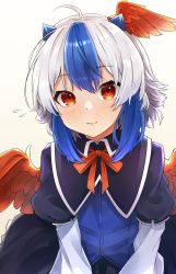 Rule 34 | 1girl, ahoge, blue dress, blue hair, closed mouth, commentary request, dress, feathered wings, flying sweatdrops, gradient background, gunsou1350, hair between eyes, head wings, highres, horns, looking at viewer, multicolored hair, neck ribbon, red eyes, red ribbon, ribbon, short hair, silver hair, simple background, smile, solo, streaked hair, tokiko (touhou), touhou, upper body, v arms, white background, wings