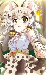 Rule 34 | 1girl, animal ear fluff, animal ears, bow, bowtie, cat, cat ears, cat girl, cat tail, extra ears, geoffroy&#039;s cat (kemono friends), green eyes, grey hair, hata (user ehfr2334), highres, kemono friends, kemono friends v project, long hair, looking at viewer, microphone, multicolored hair, open mouth, ribbon, shirt, skirt, suspenders, tail, twintails, virtual youtuber