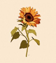 Rule 34 | commentary, commission, english commentary, flower, grey background, highres, leaf, libbyframe, no humans, original, plant, signature, simple background, still life, sunflower, yellow flower