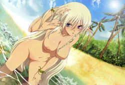Rule 34 | 1girl, absurdres, alleyne (queen&#039;s blade), beach, blue eyes, braid, breasts, cloud, elf, highres, large breasts, leaf, long hair, megami magazine, miyazawa tsutomu, nude filter, palm tree, pointy ears, pussy, queen&#039;s blade, silver hair, sky, solo, third-party edit, tree, uncensored, very long hair, water