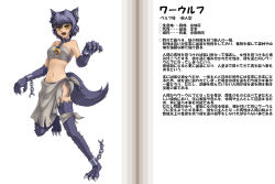 Rule 34 | 1girl, animal ears, animal hands, blue hair, blush, chain, character profile, choker, claws, collar, crescent, crescent moon, cuffs, dog, dog ears, dog tail, fang, fur, kenkou cross, midriff, monster girl, monster girl encyclopedia, moon, navel, official art, open mouth, shackles, solo, standing, standing on one leg, tail, werewolf, werewolf (monster girl encyclopedia), wolf, wolf ears, yellow eyes