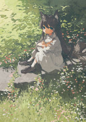 Rule 34 | 1girl, animal ears, cat ears, cat girl, cat tail, child, collared dress, crossed arms, day, dress, flower, grass, highres, long hair, original, potg (piotegu), shadow, shoes, sitting, socks, solo, tail, very long hair, white dress