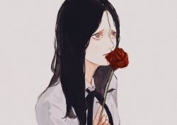 Rule 34 | 1girl, black hair, black ribbon, breasts, chainsaw man, collared shirt, flower, frown, fuyukonbu, highres, holding, holding flower, long sleeves, looking to the side, medium breasts, princi (chainsaw man), ribbon, rose, shirt, simple background, solo, white background, white shirt, zipper