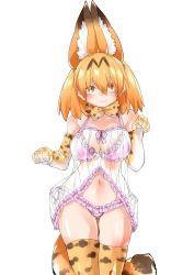 Rule 34 | 10s, 1girl, animal ears, babydoll, blush, bow, elbow gloves, frills, gloves, highres, kemono friends, lace, lingerie, navel, negligee, nightgown, panties, ribbon, see-through, serval (kemono friends), serval print, serval tail, shigurio, side-tie panties, solo, tail, thighhighs, underwear, underwear only