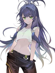 Rule 34 | 1girl, absurdres, black pants, closed mouth, commentary, cowboy shot, crop top, green eyes, hands in pockets, highres, long hair, looking at viewer, low-tied long hair, midriff, navel, original, pants, purple hair, seoji, simple background, smirk, solo, tank top, v-shaped eyebrows, white background, white tank top