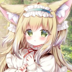 Rule 34 | 1girl, :o, animal ear fluff, animal ears, aqua hairband, arknights, artist name, blonde hair, blush, cardigan, commentary request, fox ears, fox girl, fox tail, frilled hairband, frills, green eyes, hair ornament, hair scrunchie, hairband, hamiyamiko, highres, long sleeves, looking at viewer, multicolored hair, neck ribbon, official alternate costume, open cardigan, open clothes, paid reward available, parted lips, partial commentary, puffy long sleeves, puffy sleeves, red ribbon, ribbon, scrunchie, shirt, sleeve cuffs, solo, suzuran (arknights), suzuran (spring praise) (arknights), tail, two-tone hair, upper body, white hair, white shirt, yellow cardigan