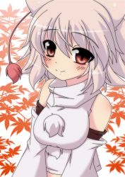 Rule 34 | 1girl, animal ears, autumn leaves, bare shoulders, blush, breasts, happy, hat, inubashiri momiji, large breasts, leaf, looking at viewer, masiromu, midriff, pom pom (clothes), red eyes, short hair, silver hair, smile, solo, tokin hat, touhou, wolf ears