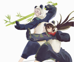 Rule 34 | 2boys, animal costume, bad id, bad pixiv id, bamboo, black hair, blue eyes, brown hair, csyday, fate/grand order, fate (series), fighting stance, green eyes, grey hair, highres, long hair, male focus, multiple boys, panda costume, prince of lan ling (fate), yan qing (fate)