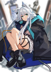 Rule 34 | 1girl, animal ears, arknights, bad id, bad twitter id, boots, cat ears, cat girl, cat tail, cloak, green eyes, highres, hood, hooded cloak, izumi roka, long hair, parted lips, rosmontis (arknights), silver hair, solo, tail, thigh strap