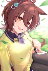 Rule 34 | 1girl, absurdres, agnes tachyon (umamusume), ahoge, animal ears, black pantyhose, breasts, brown hair, chemical structure, earrings, grass, hair between eyes, highres, horse ears, horse tail, jewelry, long sleeves, looking at viewer, medium breasts, outdoors, pantyhose, red eyes, shiro (branch0126), short hair, single earring, smile, solo, sweater vest, tail, teeth, torn clothes, torn pantyhose, umamusume, upper teeth only, yellow sweater vest