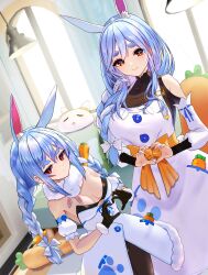 Rule 34 | 2girls, absurdres, animal ear fluff, animal ears, black gloves, blue hair, blush, braid, braided ponytail, breasts, carrot, carrot hair ornament, carrot in pocket, don-chan (usada pekora), dress, food-themed hair ornament, gloves, hair ornament, highres, hololive, housewife, inari (ambercrown), long hair, looking at viewer, mature female, mother and daughter, multicolored hair, multiple girls, pekomama, pekomon (usada pekora), rabbit ears, rabbit girl, red eyes, short eyebrows, small breasts, smile, thick eyebrows, twin braids, two-tone hair, usada pekora, usada pekora (1st costume), virtual youtuber, white dress, white hair