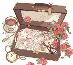 Rule 34 | 1girl, bird legs, bow, closed eyes, cup, feathered wings, feathers, flower, harpy, highres, key, meremero, mini person, minigirl, monster girl, original, pocket watch, red bow, red flower, red rose, rose, saucer, simple background, sleeping, spoon, suitcase, talons, tea, teacup, ticket, watch, white background, white feathers, white wings, winged arms, wings