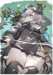 Rule 34 | 1girl, ahoge, arknights, black panties, black thighhighs, blurry, breasts, cloak, closed mouth, cowboy shot, crocodilian tail, dappled sunlight, depth of field, flower, from below, gloves, highres, holding, hood, hood up, long hair, long sleeves, pale skin, panties, pantyshot, pointy ears, silver hair, skindentation, small breasts, solo, standing, sunlight, t lege d, tail, thighhighs, thighs, tomimi (arknights), torn clothes, torn thighhighs, underwear, yellow eyes
