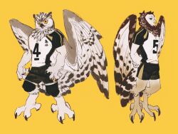 Rule 34 | 2boys, akaashi keiji, animal feet, animal focus, animal hands, arms behind back, bird tail, bird wings, black shorts, blue eyes, bokuto koutarou, brown feathers, brown wings, chengongzi123, claws, closed mouth, commentary, feathered wings, feathers, full body, furrification, furry, furry male, haikyuu!!, highres, knee pads, looking at viewer, male focus, multiple boys, open mouth, owl boy, short sleeves, shorts, simple background, sportswear, standing, symbol-only commentary, tail, talons, volleyball uniform, wings, yellow background, yellow eyes
