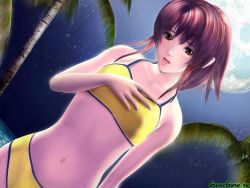 Rule 34 | 1girl, 3d, :d, bikini, blush, brown eyes, brown hair, coconut tree, dutch angle, flat chest, full moon, lipstick, looking at viewer, makeup, moon, navel, night, night sky, ocean, open mouth, outdoors, palm tree, ponytail, sexy beach, sexy beach 2, sky, smile, solo, standing, swimsuit, tree, uesugi reona, wallpaper, water, watermark, wet, yellow bikini