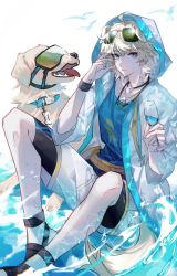 Rule 34 | 1boy, absurdres, ahoge, animal ears, arknights, black footwear, blonde hair, blue eyes, blue shirt, chinese commentary, closed mouth, coat, commentary request, cup, dog, dog boy, dog ears, drinking glass, eyewear on head, foot out of frame, hands up, highres, holding, holding cup, hood, hood up, hooded coat, infection monitor (arknights), jewelry, looking at viewer, malatangniaotou, male focus, necklace, open clothes, open coat, sandals, shirt, short hair, shorts, solo, sunglasses, tequila (arknights), white coat, white shorts
