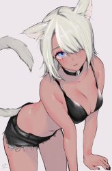 Rule 34 | 1girl, animal ears, arm support, armpit crease, bare arms, bare shoulders, black bra, black nails, black shorts, blue eyes, blush, bow, bra, breasts, cat ears, cat girl, cat tail, choker, cleavage, closed mouth, collar, collarbone, cowboy shot, cutoffs, dark-skinned female, dark skin, denim, denim shorts, eyelashes, fingernails, hair over one eye, highres, leaning forward, looking at viewer, medium breasts, midriff, mole, mole on arm, mole on thigh, nail polish, original, parted bangs, short hair, short shorts, shorts, signature, silver hair, simple background, solo, tail, tail bow, tail ornament, tail raised, tsurime, underwear, uni (melm), white background