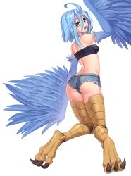 Rule 34 | 1girl, absurdres, ahoge, ass, bird legs, blonde hair, blue hair, blue wings, breasts, denim, denim shorts, feathered wings, feathers, hair between eyes, harpy, highres, looking at viewer, medium breasts, micro shorts, monster girl, monster musume no iru nichijou, nipples, nude, open mouth, papi (monster musume), short shorts, shorts, simple background, strapless, teeth, tube top, white background, winged arms, wings, yellow eyes