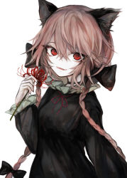 Rule 34 | 1girl, animal ear fluff, animal ears, black bow, black choker, black dress, bow, braid, breasts, brown hair, cat ears, choker, commentary request, dress, eyebrows hidden by hair, fang, flower, hair between eyes, hair bow, hasunokaeru, holding, holding flower, kaenbyou rin, long hair, long sleeves, looking at viewer, neck ribbon, parted lips, puffy long sleeves, puffy sleeves, red eyes, red flower, red ribbon, ribbon, simple background, small breasts, smile, solo, spider lily, touhou, twin braids, upper body, very long hair, white background