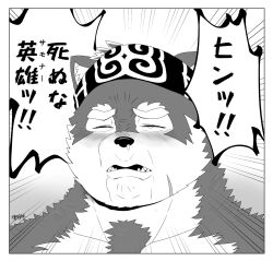 Rule 34 | 1boy, ainu clothes, asirpa, bara, derivative work, frown, furry, furry male, golden kamuy, highres, hijirino yuuta, horkeu kamui, male focus, nude, runny nose, scene reference, short hair, snot, solo, tearing up, thick eyebrows, tokyo houkago summoners, translation request, two-tone fur, wolf boy, wrinkled skin