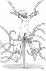 Rule 34 | 1girl, armpits, arms up, ass, back, barefoot, breasts, commentary request, completely nude, from behind, full body, graphite (medium), greyscale, harumachi nagaaki, highres, monochrome, nipples, nude, object insertion, original, planted, planted sword, planted weapon, pussy juice, rape, restrained, simple background, small breasts, solo, sweat, sword, tentacles, traditional media, weapon, weapon insertion