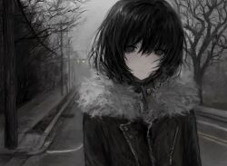 Rule 34 | 1girl, bare tree, black hair, black jacket, chan8016, closed mouth, coat, empty eyes, fog, fur-trimmed jacket, fur trim, highres, jacket, looking at viewer, original, overcast, road, sad, sky, solo, street, tree, winter clothes, winter coat