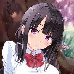 Rule 34 | 1girl, black hair, black jacket, blunt bangs, blush, bow, bowtie, breasts, cherry blossoms, chinese commentary, close-up, clothes down, collared shirt, commentary request, grass, highres, jacket, large breasts, looking at viewer, medium hair, original, outdoors, purple eyes, red bow, red bowtie, shirt, side ponytail, smile, solo, tree, under tree, uniform, upper body, white shirt, youlancangkong