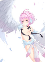 Rule 34 | 1girl, absurdres, bird tail, bird wings, blush, breasts, feather hair, feathered wings, feathers, harpy, highres, monster girl, original, panties, pink eyes, pink feathers, pink hair, short hair, small breasts, solo, tail, underwear, white feathers, winged arms, wings, xiao xiao tian