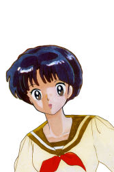 Rule 34 | 1girl, blue hair, brown eyes, highres, ranma 1/2, short hair, takahashi rumiko, tendou akane